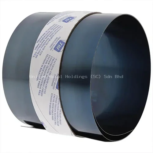 SK5 / C1095 Blue Tempered Spring Steel | Nitronic | United Metal Holdings (SC) Sdn Bhd